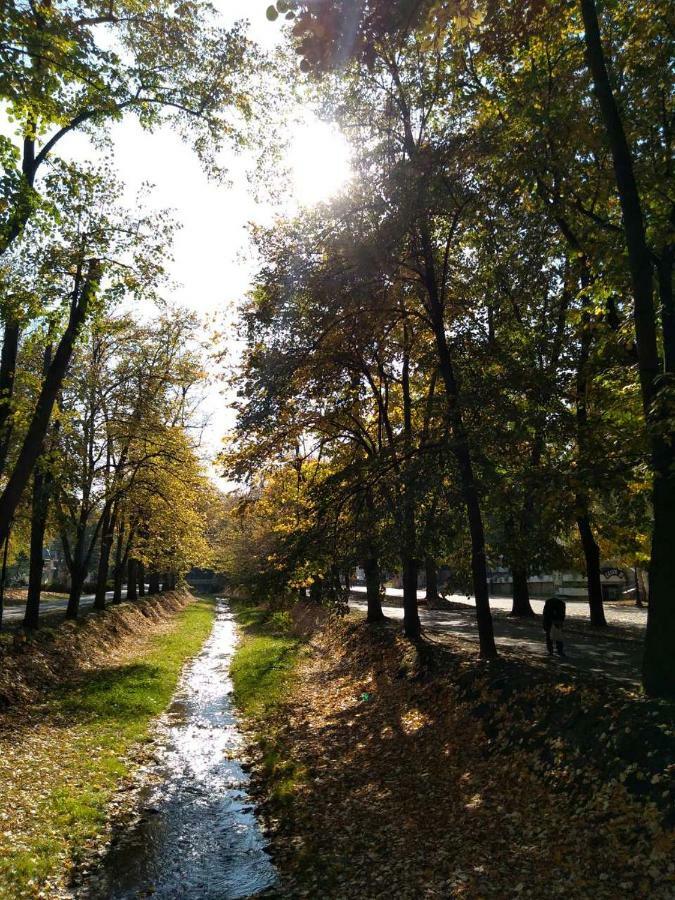 Kuca Jeka Otel Vrnjačka Banja Dış mekan fotoğraf